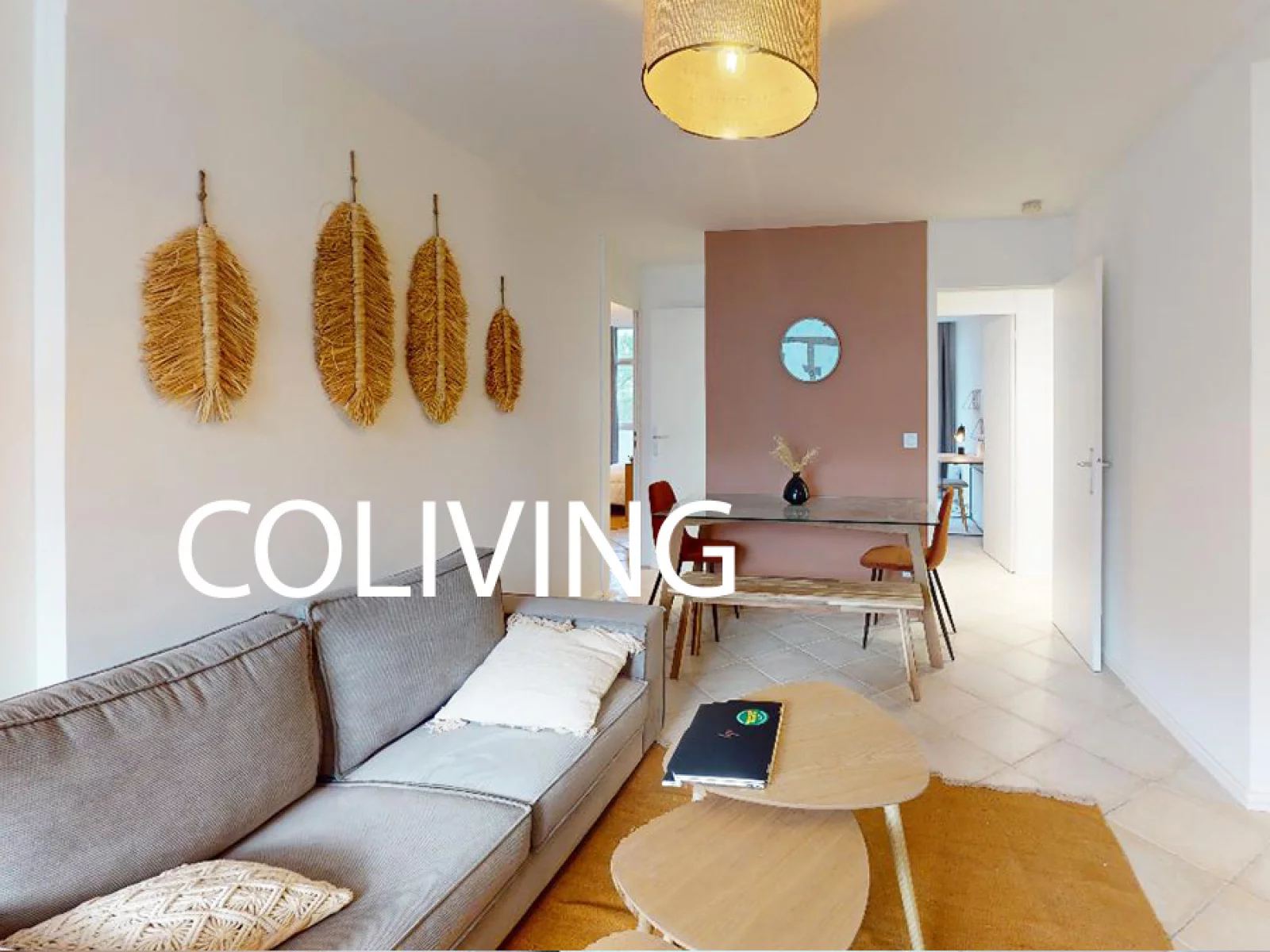 Location chambre meuble 18m dans coliving T5 (Lyon 8)
