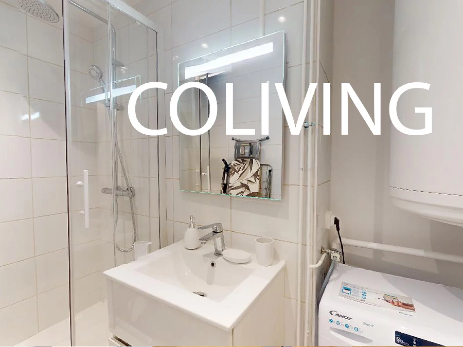 Location chambre meuble 18m dans coliving T5 (Lyon 8)