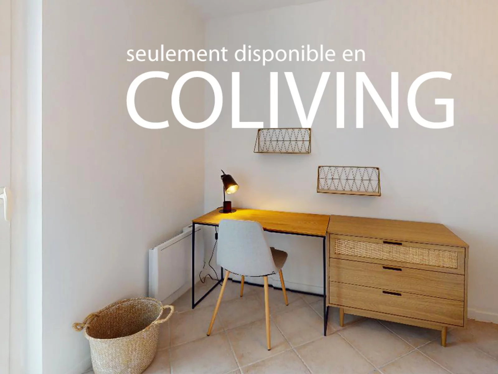 Location chambre meuble 18m dans coliving T5 (Lyon 8)